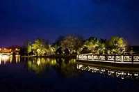 防疫抗疫,负重前行,太阳能路灯厂家牛气冲天,犇起来!!!