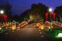 子鼠抖尾辞旧岁,金牛昂首奋进年——致各界朋友及全体员工春节慰问信